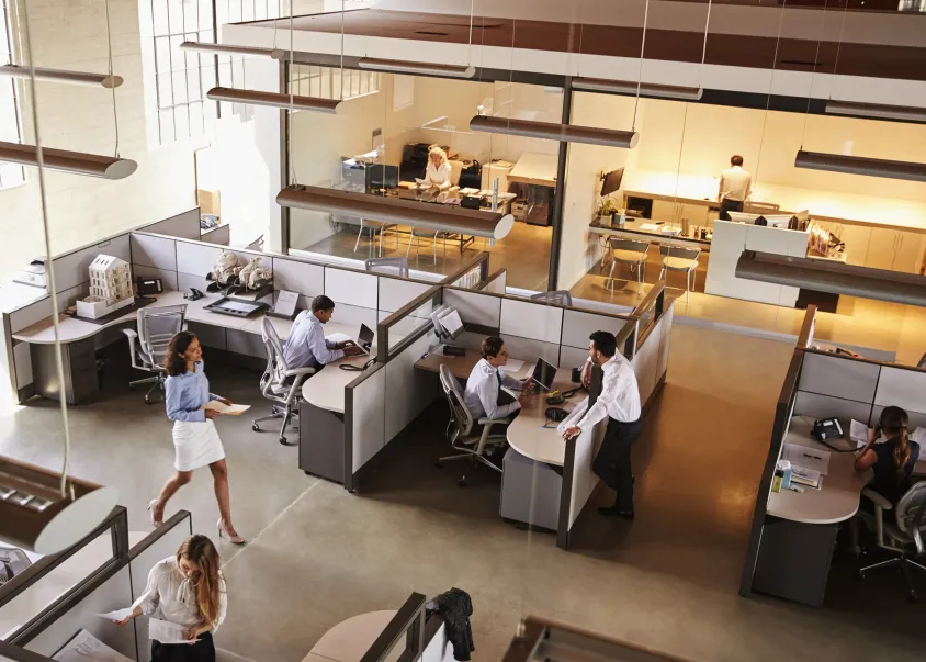 External EOR services: A cost-cutting and efficient staffing model