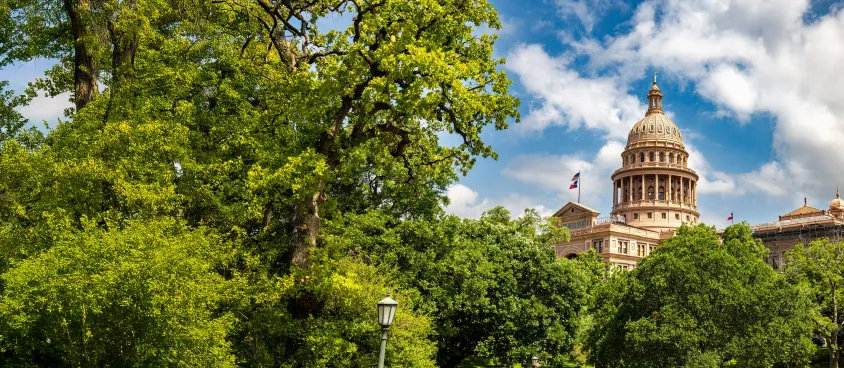 Texas DIR Contract Services