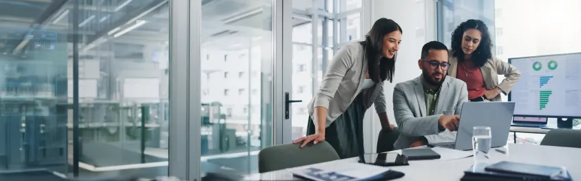 Audit Readiness Services