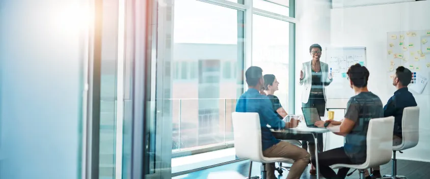 DBITS | Texas DIR Contract Services